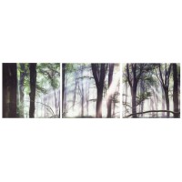 Quadro Triptico placas vidro Bosque Árvores 3 de 0.60m x 0.60m