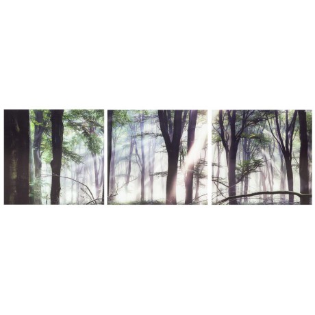 Quadro Triptico placas vidro Bosque Árvores 3 de 0.60m x 0.60m