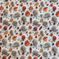 Tecido Popeline Ouriços Folhas 3D 1.50m largura Tecido Popeline Ouriços Folhas 3D 1.50m largura